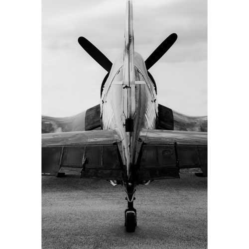 Steven Greenwald Artwork & Prints 33x22 / Canvas Vought F4U Corsair 2 Steven Greenwald Print