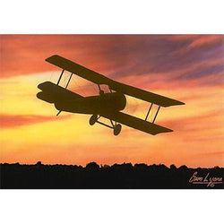 Dawn Flight Limited Edition Sam Lyons Print - PilotMall.com