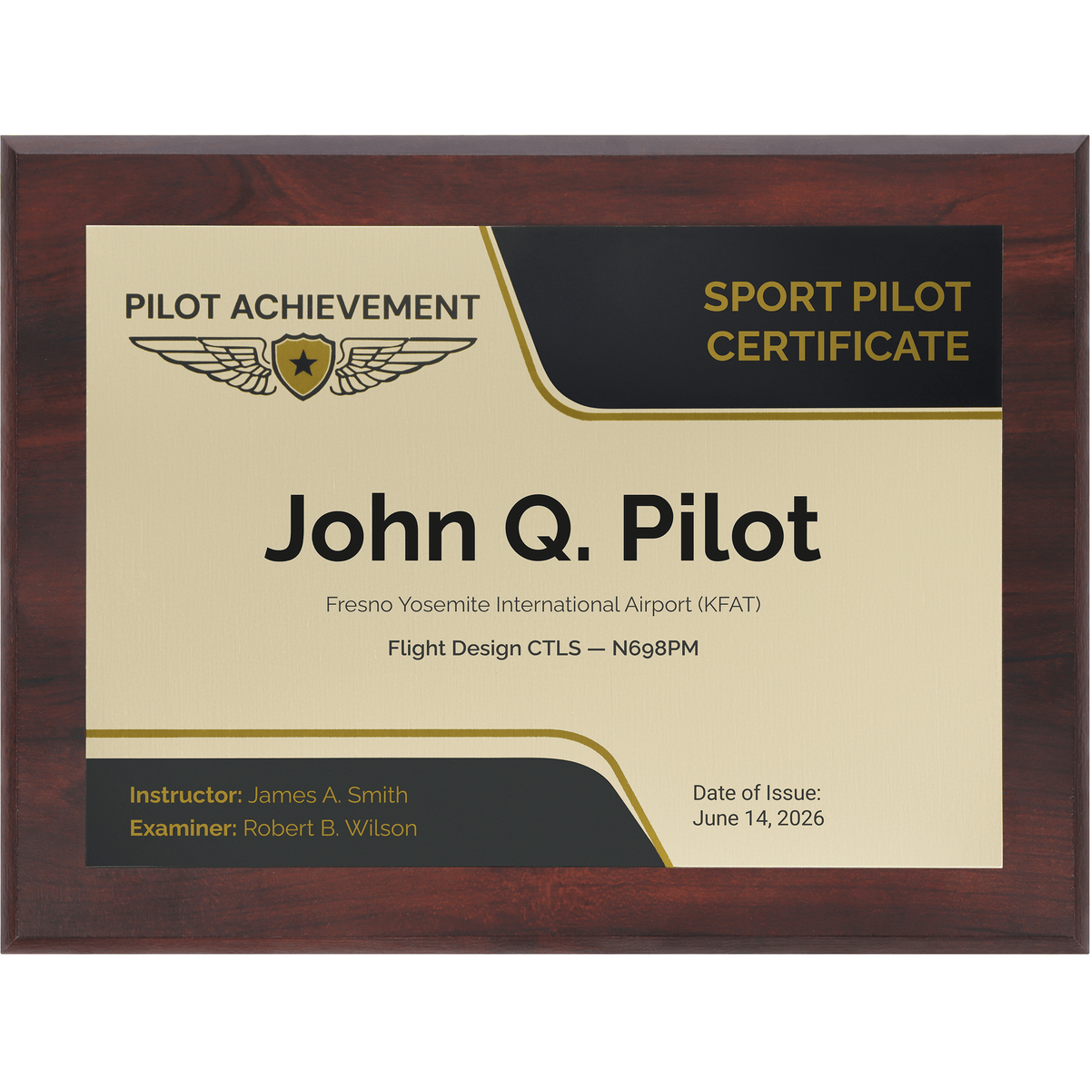 PilotMall.com Plaques Personalized Sport Pilot Wings Achievement 9 x 12 Plaque