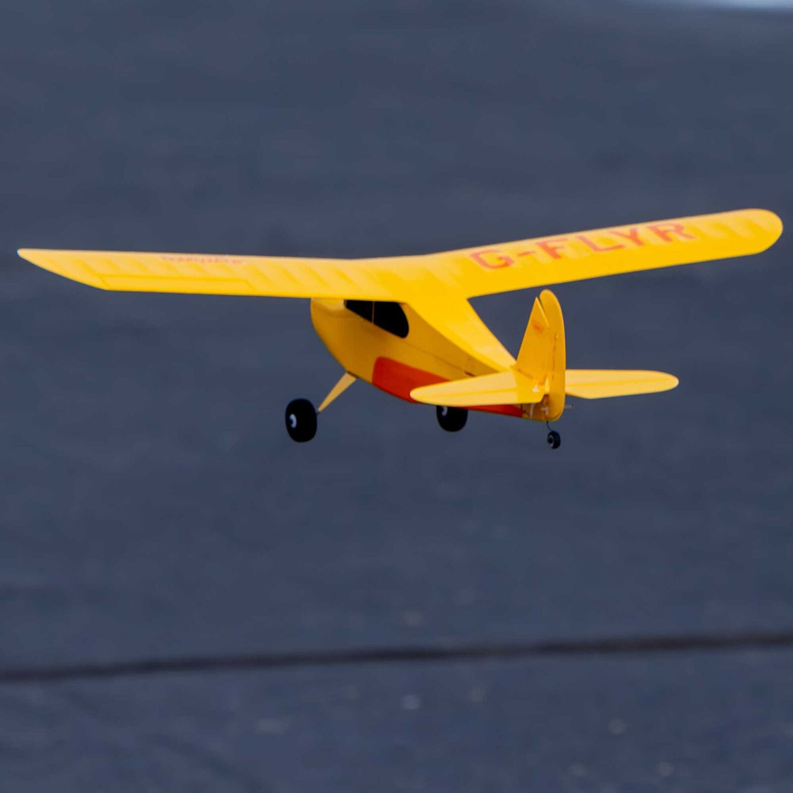HobbyZone Remote Control Planes HobbyZone Champ Anniversary Special Edition 515mm RTF (Ready-to-Fly) with Safe Select, HBZ04900