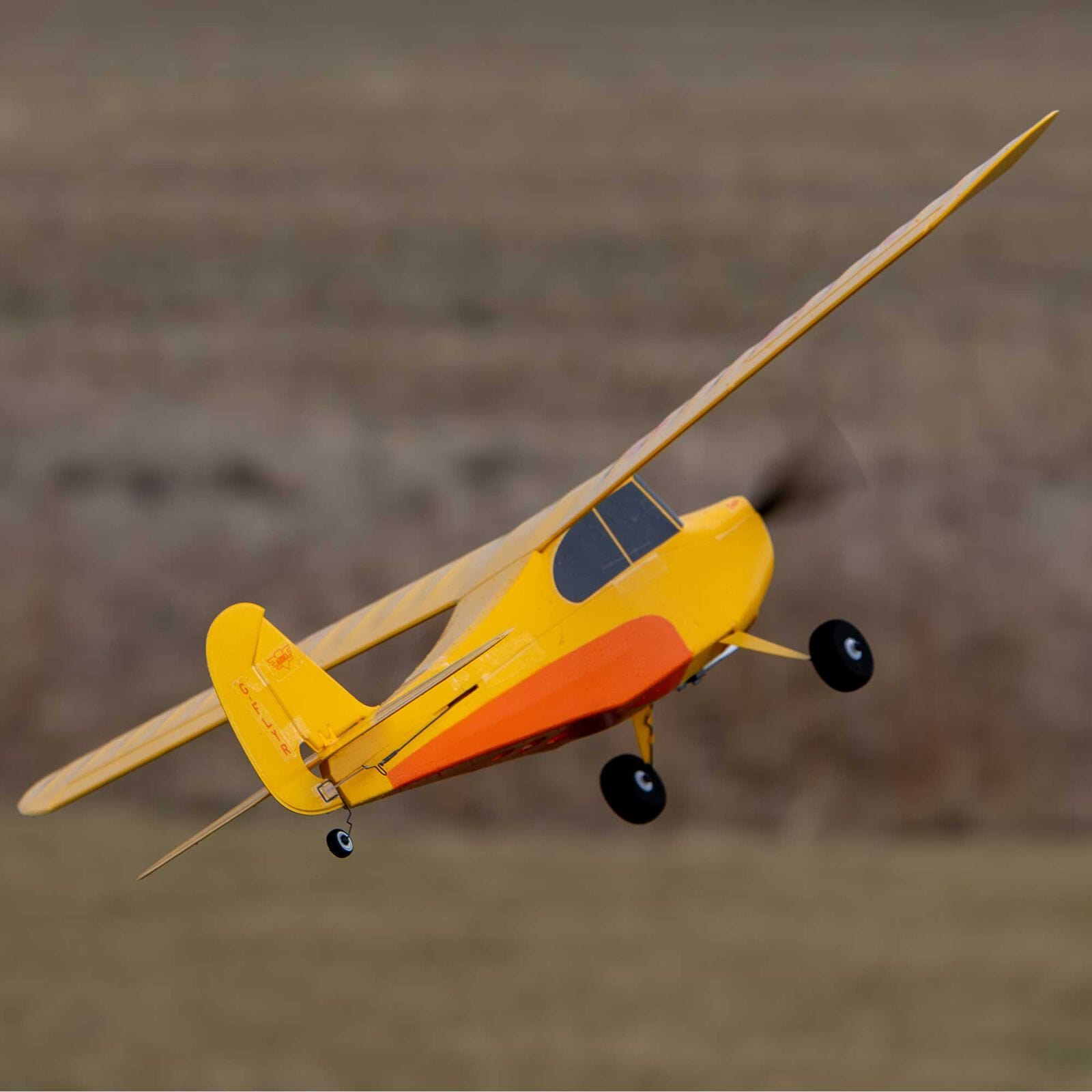 HobbyZone Remote Control Planes HobbyZone Champ Anniversary Special Edition 515mm RTF (Ready-to-Fly) with Safe Select, HBZ04900