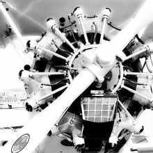 Steven Greenwald Artwork & Prints 36x36 / Canvas Stearman PT-17 Steven Greenwald Print