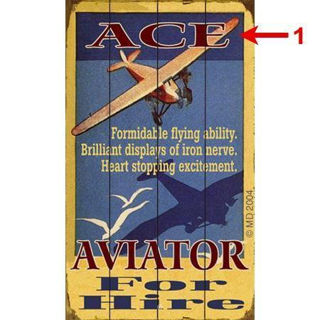 Meissenburg Designs Artwork & Prints Ace Aviator For Hire Personalized Wood Sign 18x30