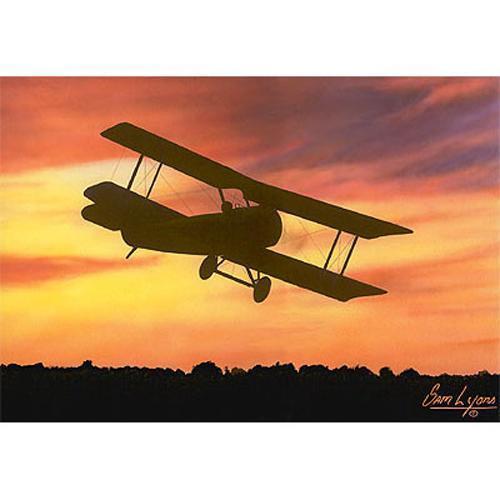 Dawn Flight Limited Edition Sam Lyons Print - PilotMall.com