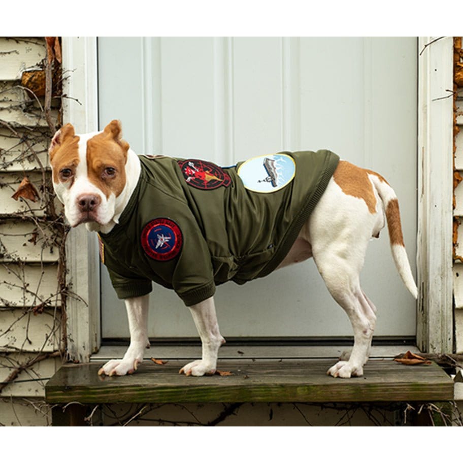 Top Gun® Official Dog Bomber Jacket