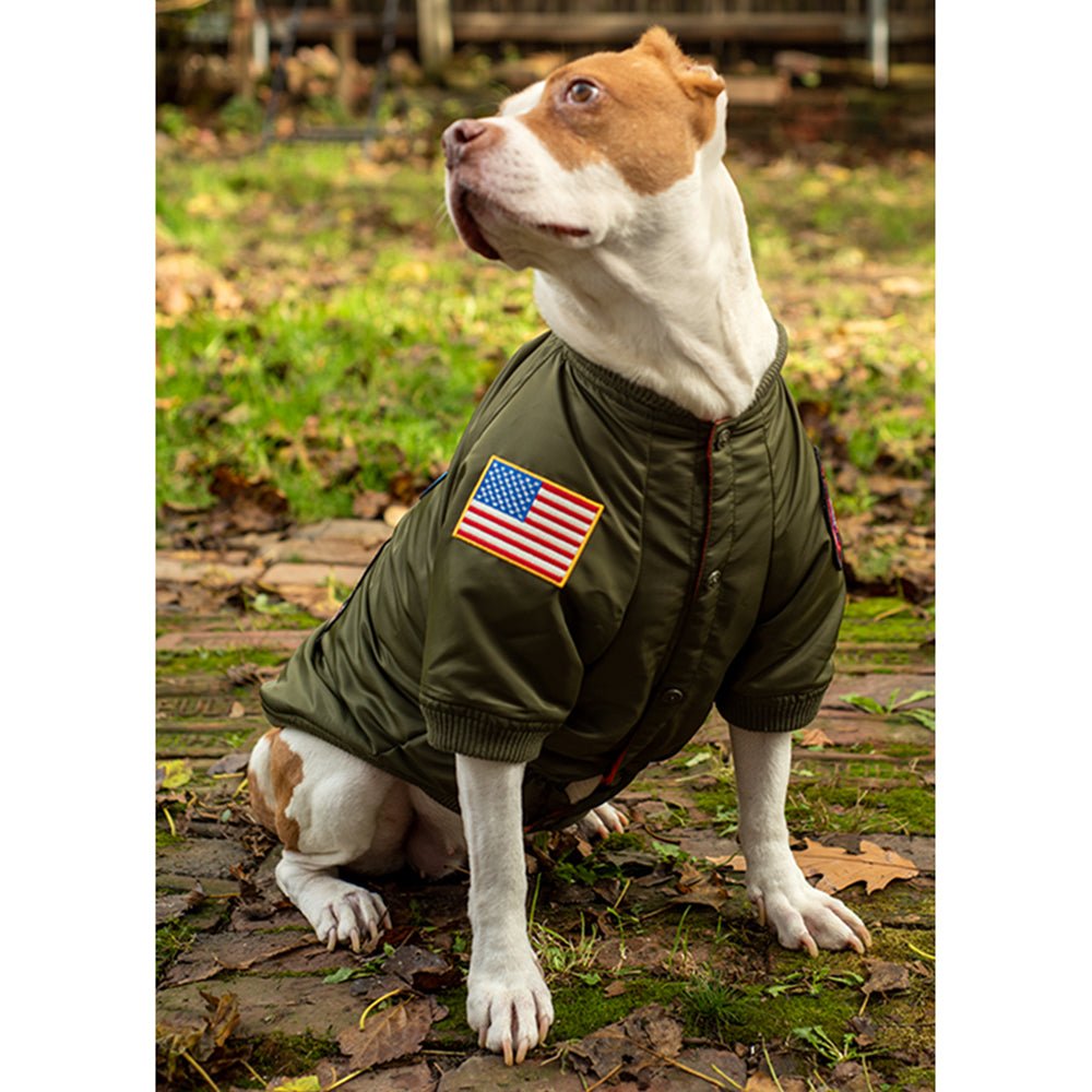 Top Gun® Official Dog Bomber Jacket - PilotMall.com
