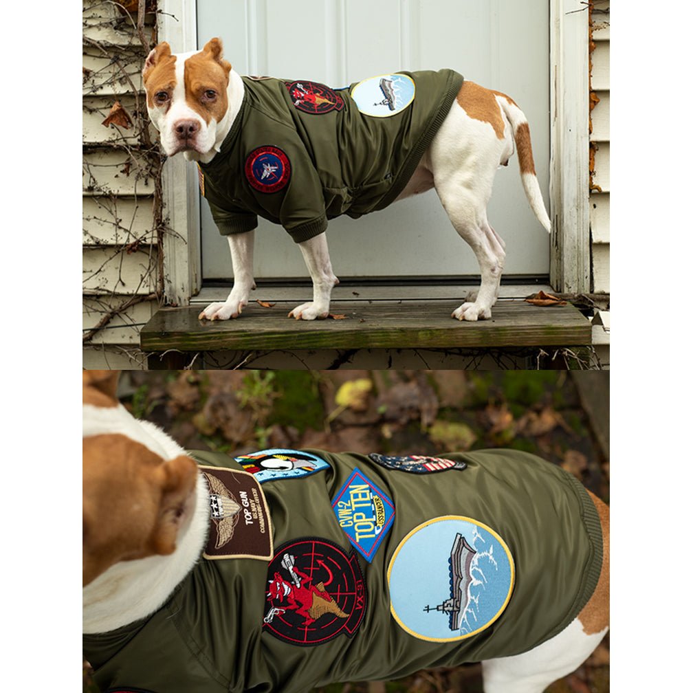 Top Gun® Official Dog Bomber Jacket - PilotMall.com