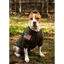Top Gun® Official Dog Bomber Jacket